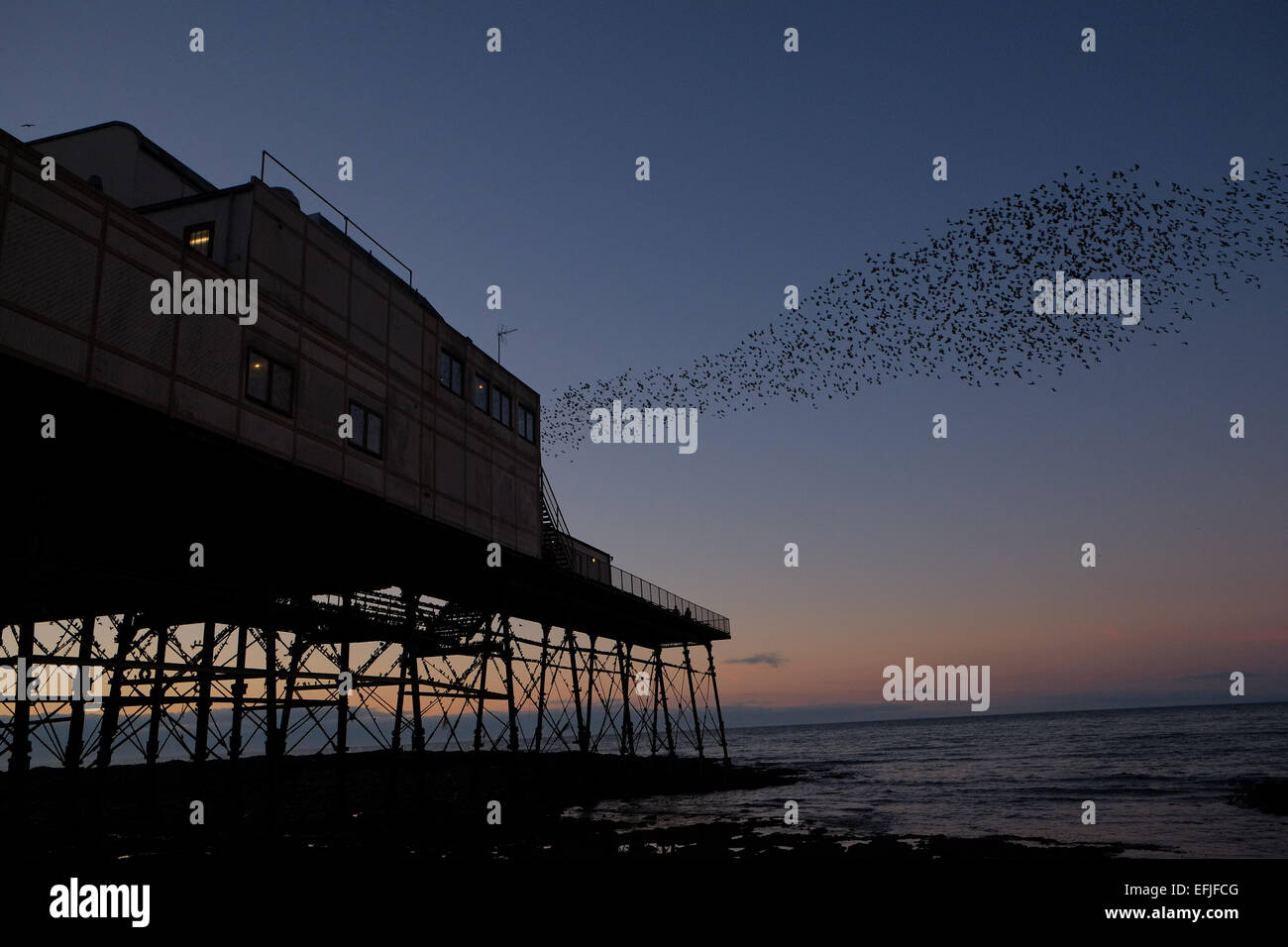 Aberystwyth, Wales, UK. 5. Februar 2015. UK-Wetter: Stare in Aberystwyth Pier bei Sonnenuntergang. Ceredigion, Westwales Mitte Wales. Bildnachweis: Paul Quayle/Alamy Live-Nachrichten Stockfoto