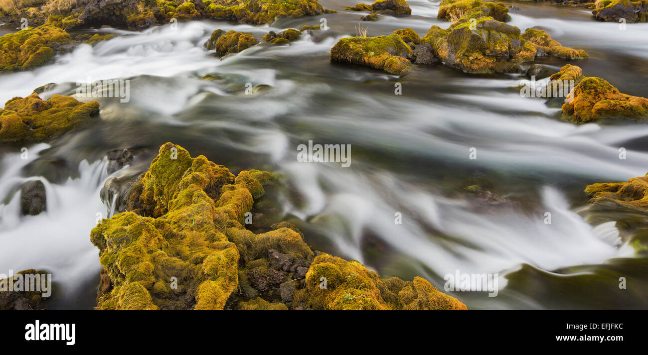 Moos bedeckte Steinen in der Nähe von Foss, Deverghamrar, South Island, Island Stockfoto