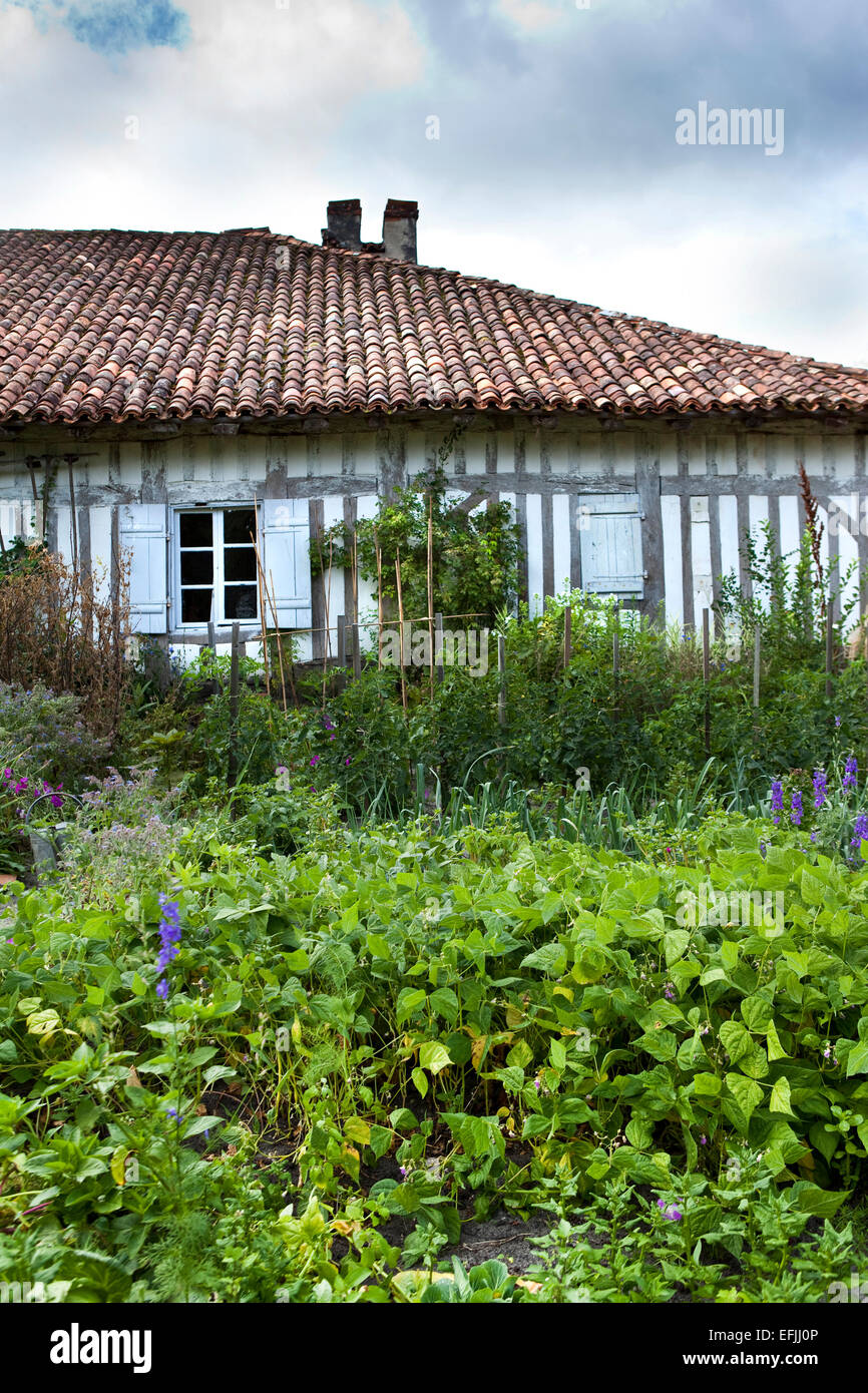 Garten eines französischen Bauernhofes in Landes-Land, in der Nähe von Bordeaux, Frankreich Stockfoto