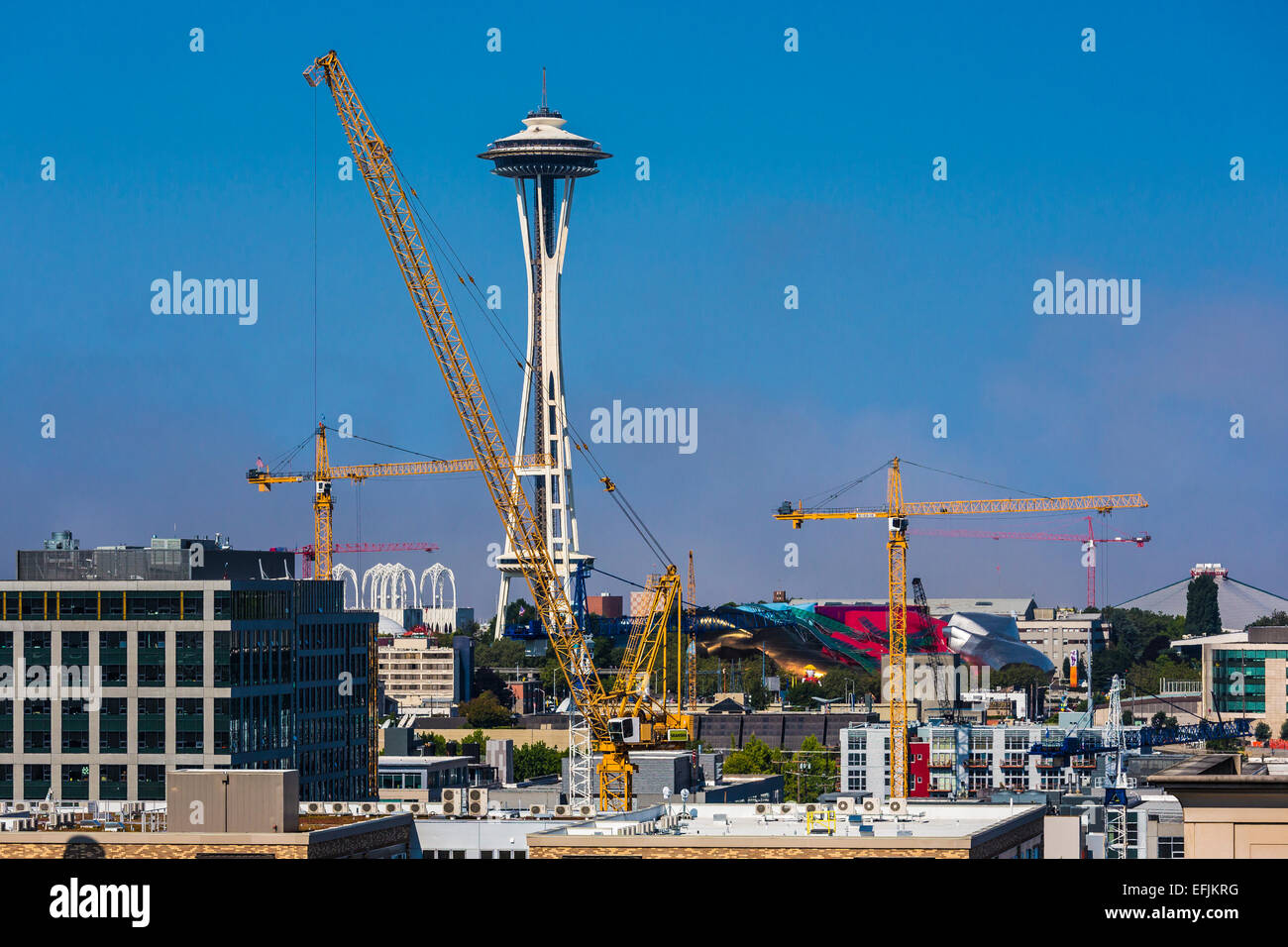 Baukräne zeigen die unglaubliche Bauboom geschieht in den South Lake Union Bereich, Seattle, Washington State, USA Stockfoto