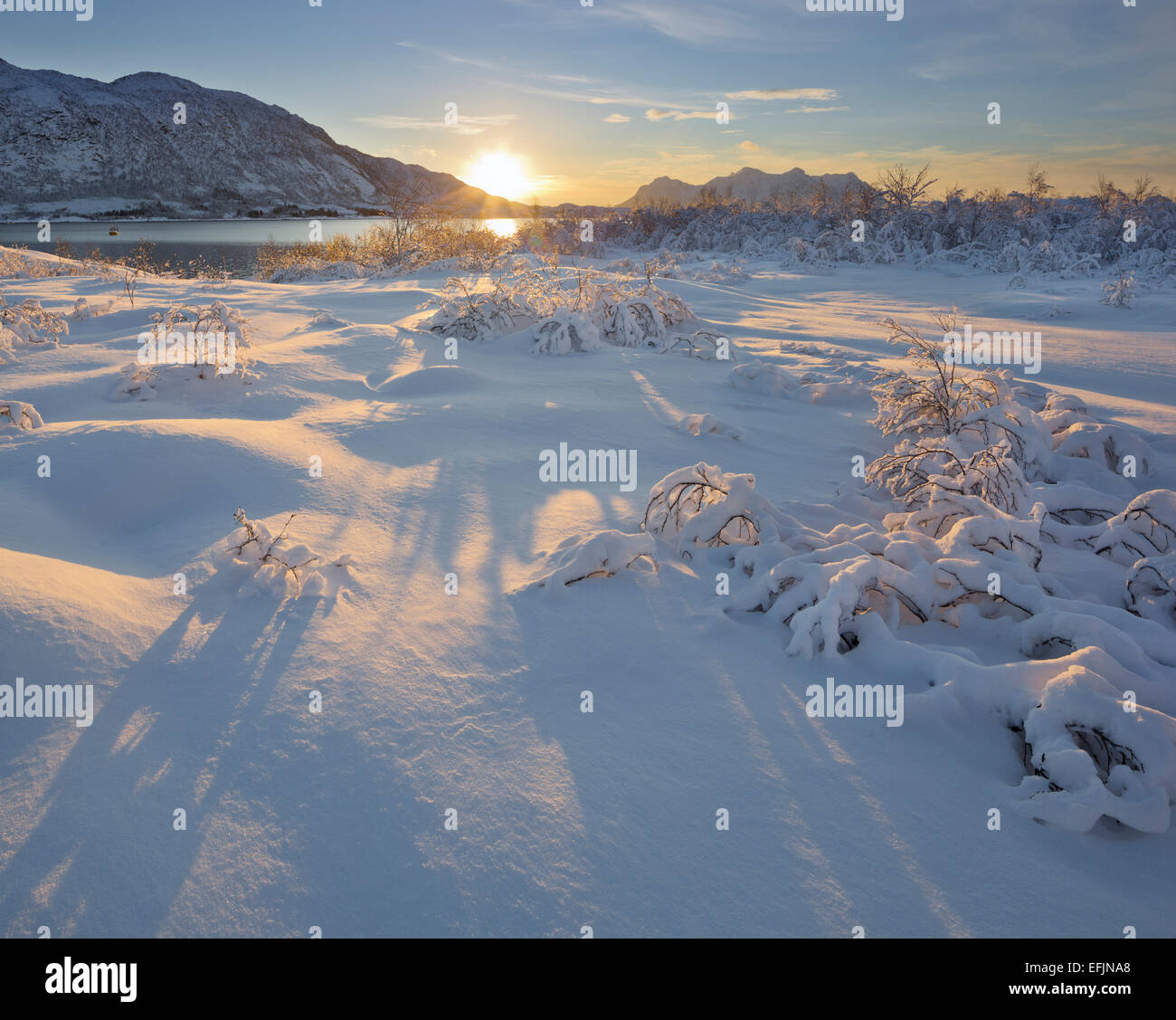Schneelandschaft bei Austnesfjorden, Austvagoya, Lofoten, Nordland, Norwegen Stockfoto