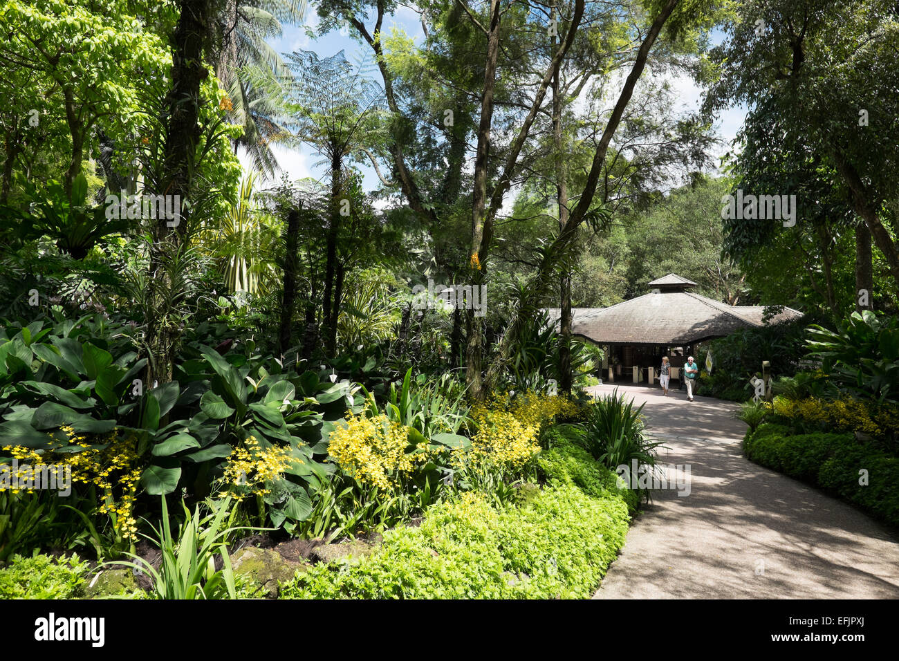 Die Singapur National Orchid Garden. Stockfoto