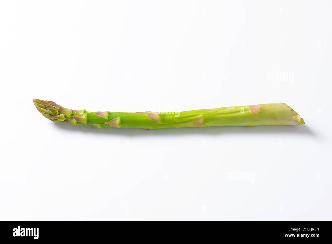 Einzigen frischen Spargel Speer - Studio gedreht Stockfoto