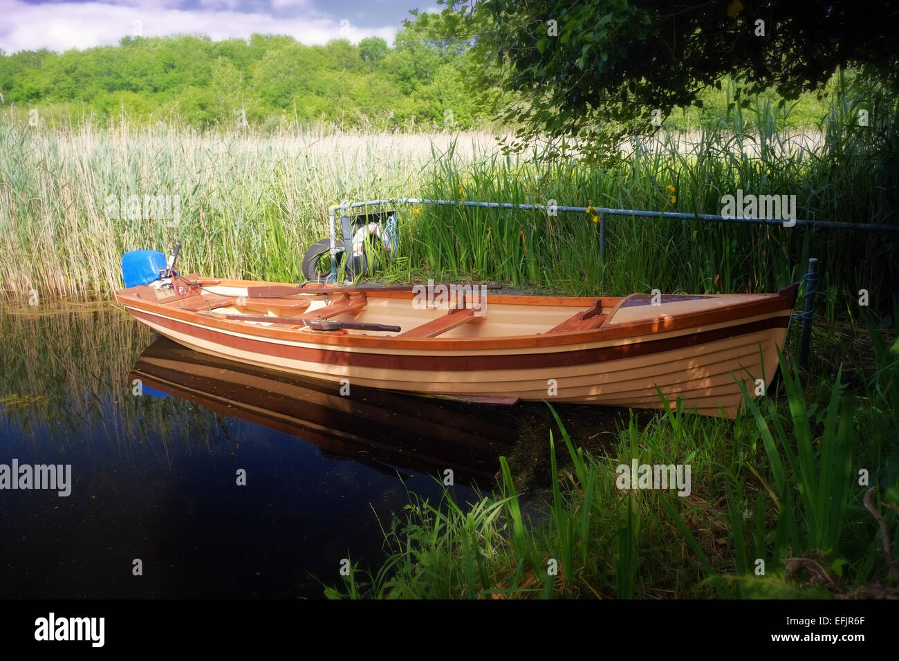 Ein einsamer See Angelboot/Fischerboot vor Anker in langen Rasen in einer Lagune am Lough Derg See in Tipperary, Irland Stockfoto