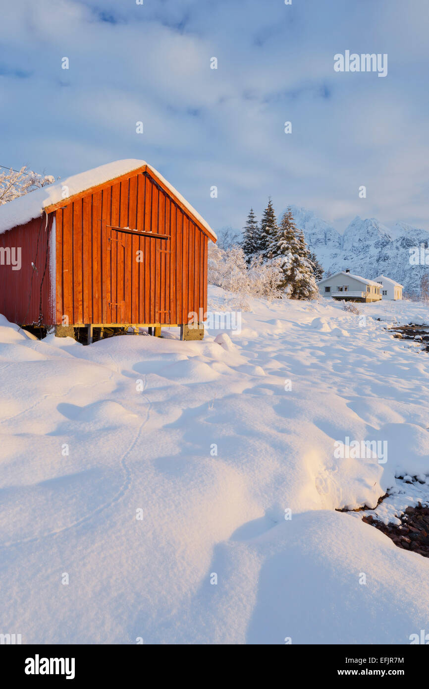 Boote-Haus in der Nähe von Gammelgarden, Austnesfjorden, Austvagoya, Lofoten, Nordland, Norwegen Stockfoto