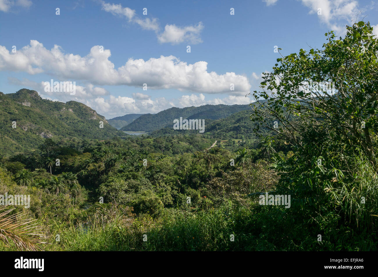 Blick auf unberührte Escambray Berge und Tal, Provinz Cienfuegos, Kuba. Stockfoto