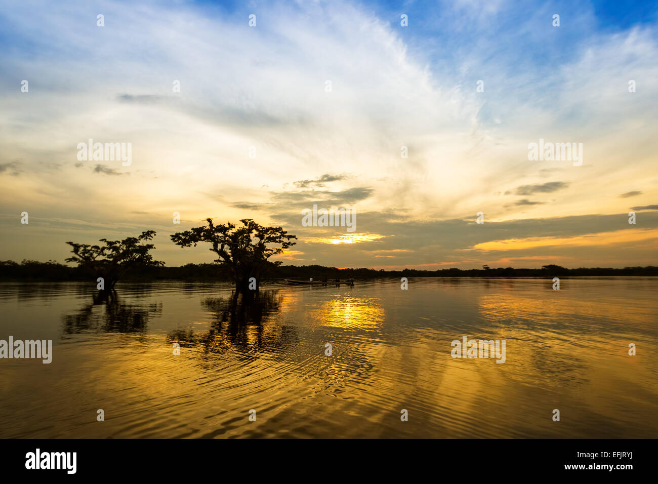 Am späten Nachmittag See Grande Cuyabeno Nationalpark im Norden Ecuadors Stockfoto