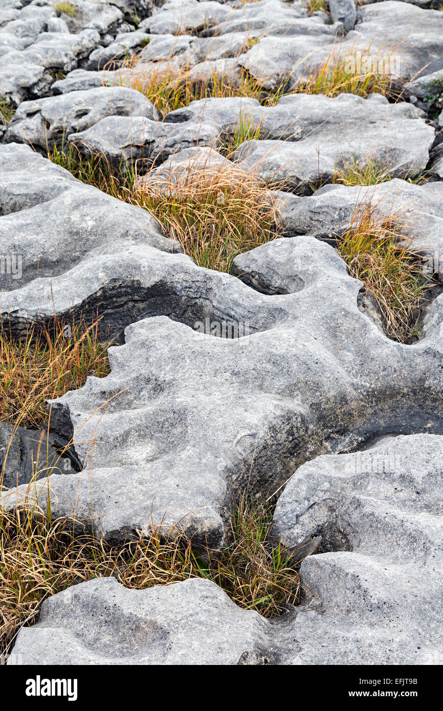 Clints und Schneehöhlen auf Kalkstein Pflaster, Burren, Co. Clare, Irland Stockfoto