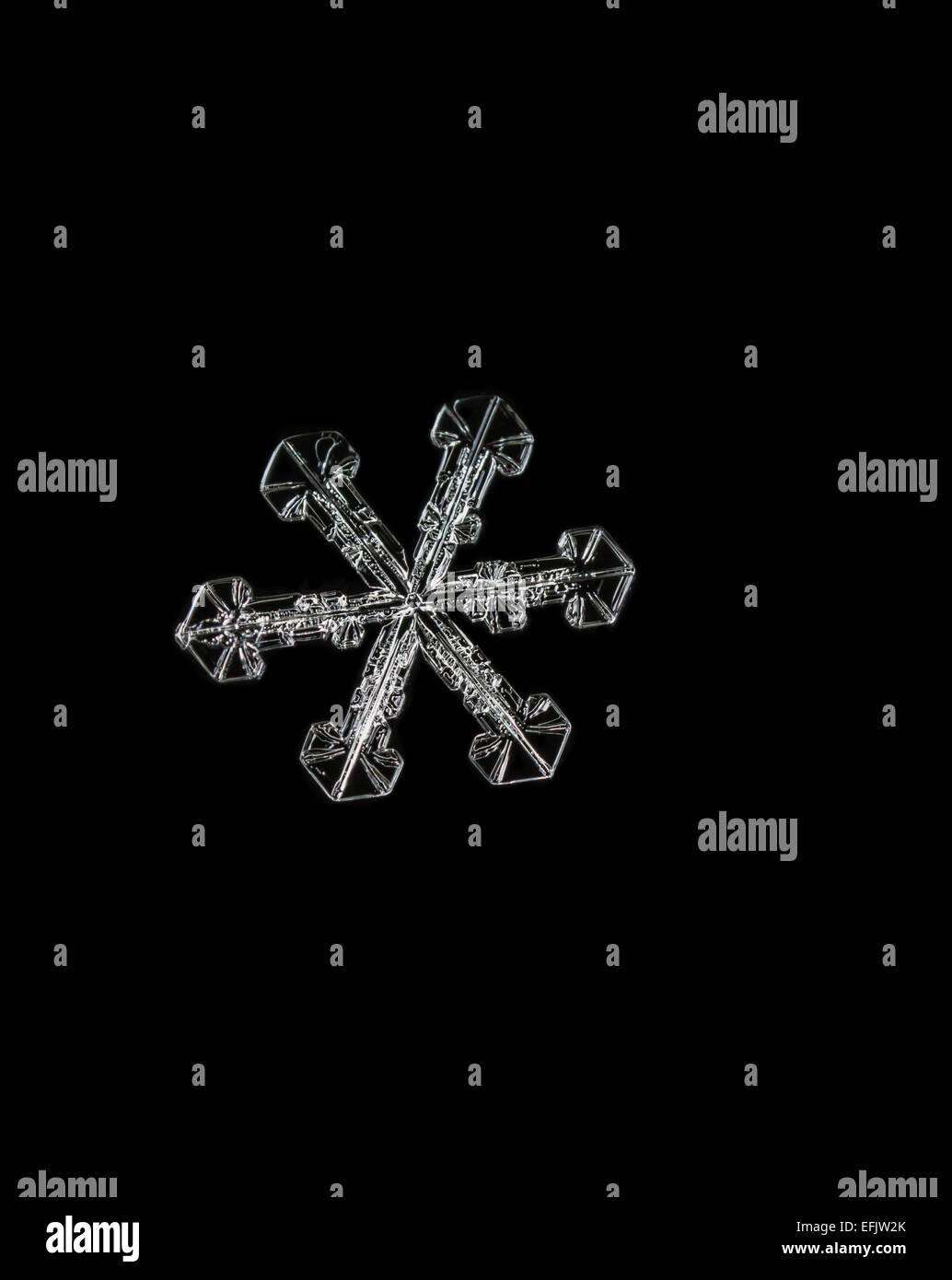 Schneeflocke-Makro, Snow Flake Makro, Schneekristalle Stockfoto