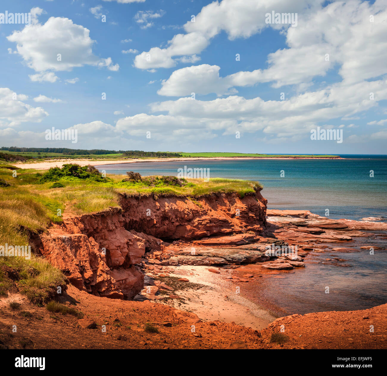 Rote Klippen von Prince Edward Island Atlantikküste in East Point, PEI, Kanada. Stockfoto