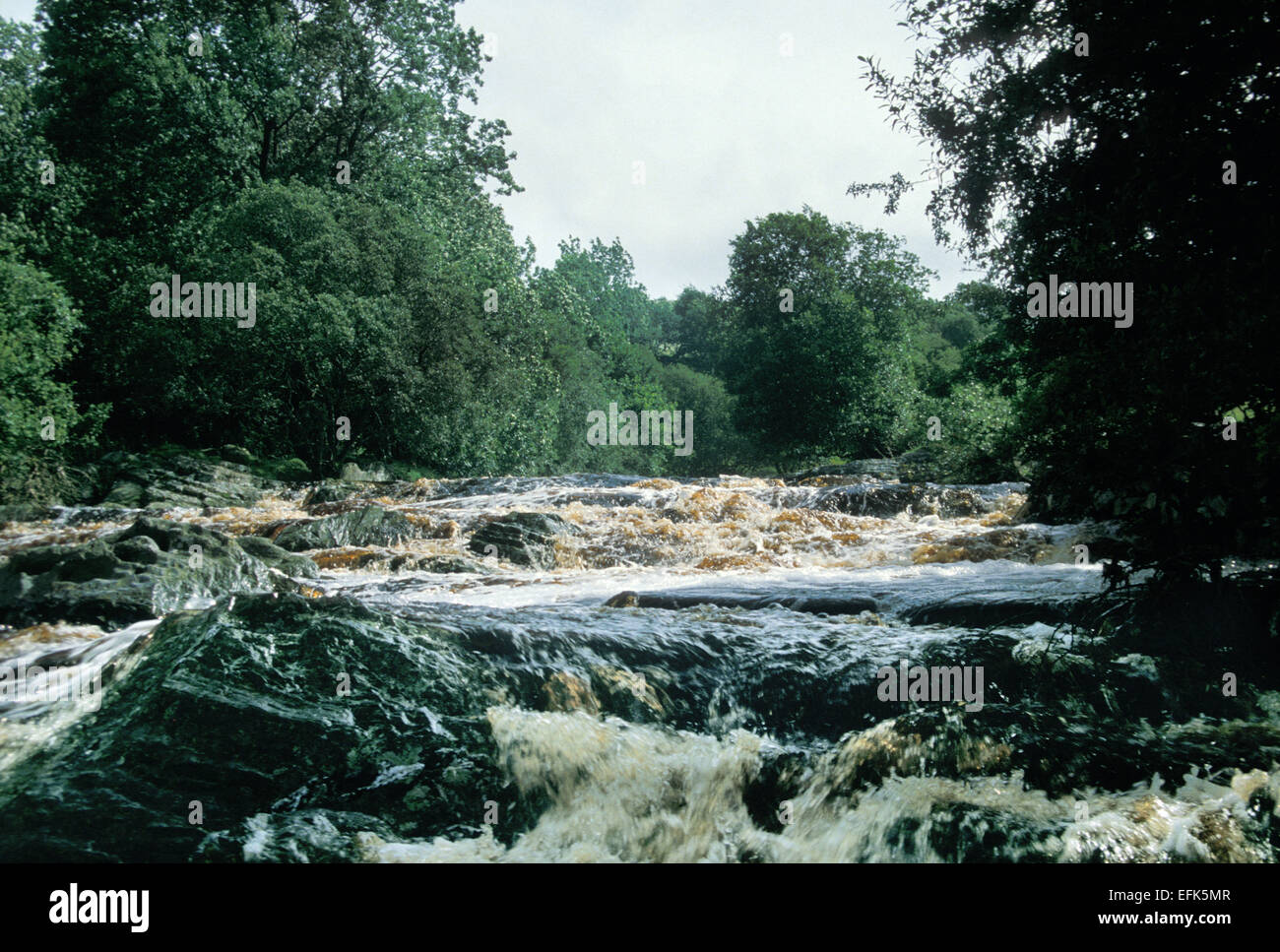 Der Fluss Conway in Flut oben Ysbyty Ifan Gwynedd Wales UK ca. 1985 Stockfoto