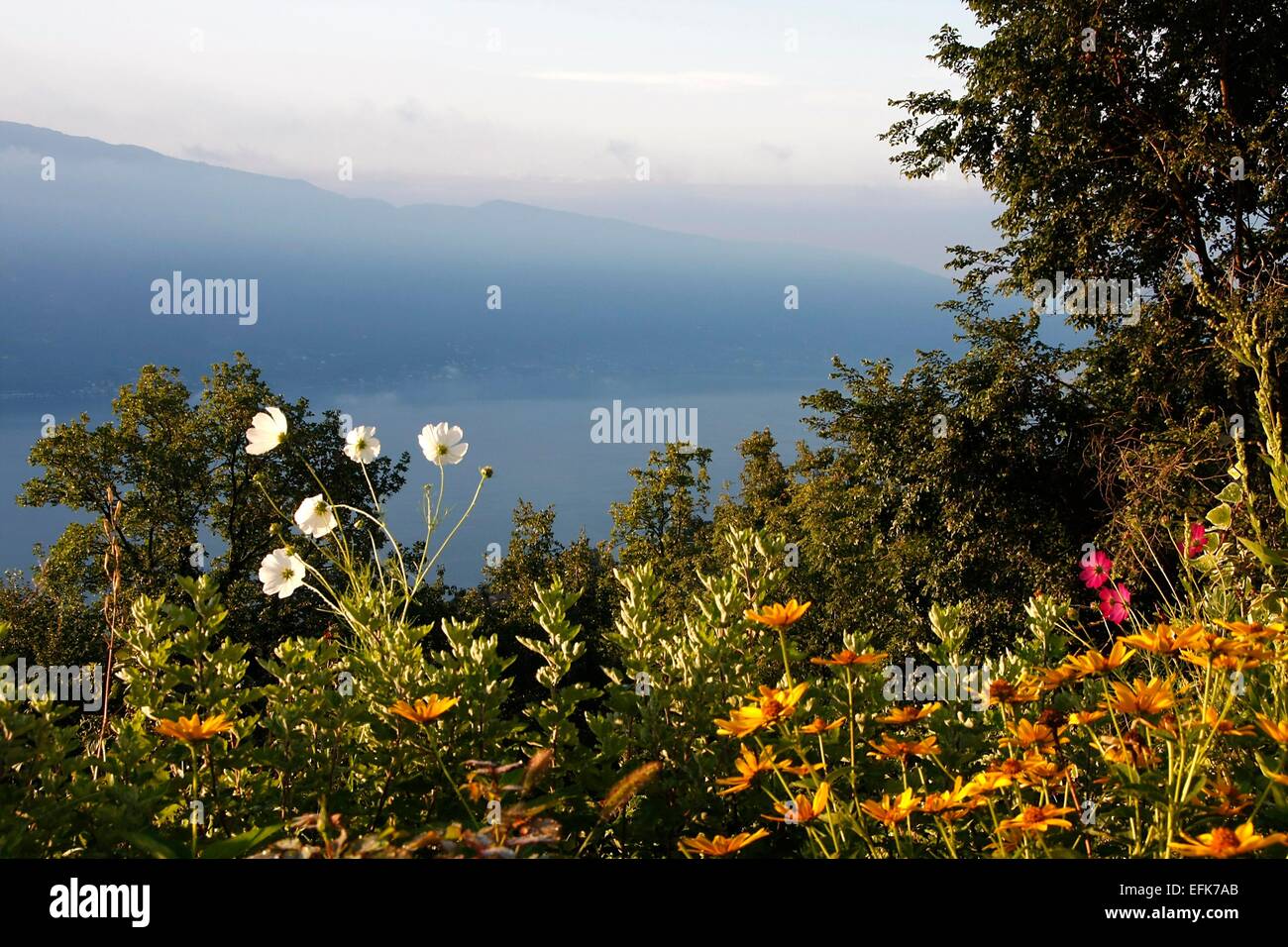 Der Gardasee in den frühen Morgenstunden. Hinter dem 30 Kilometer langen Bergrücken zwischen Etsch und dem Gardasee. Er gehört zu der Bergkette der Gardasee Berge. Foto: Klaus Nowottnick Datum: 27. August 2014 Stockfoto