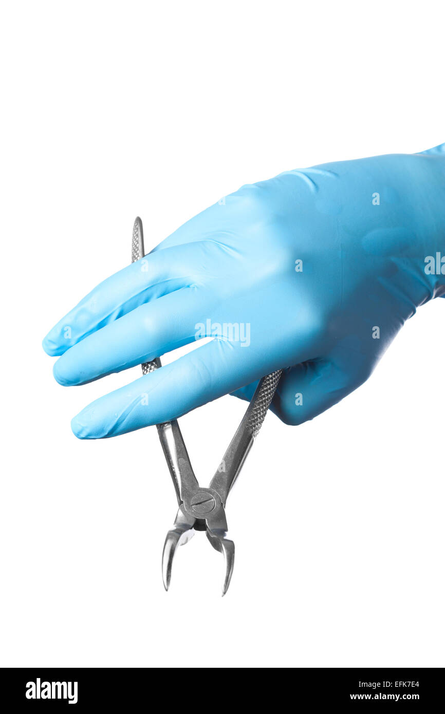 Hand im blauen Handschuh hält zahnärztliche Pinzette isoliert auf weißem Hintergrund Stockfoto