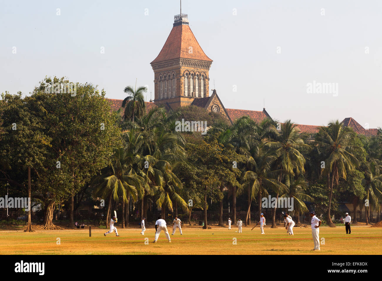 Indien, Maharashtra, Mumbai, Colaba Bezirk, Oval Maidan und Männer spielen cricket Stockfoto