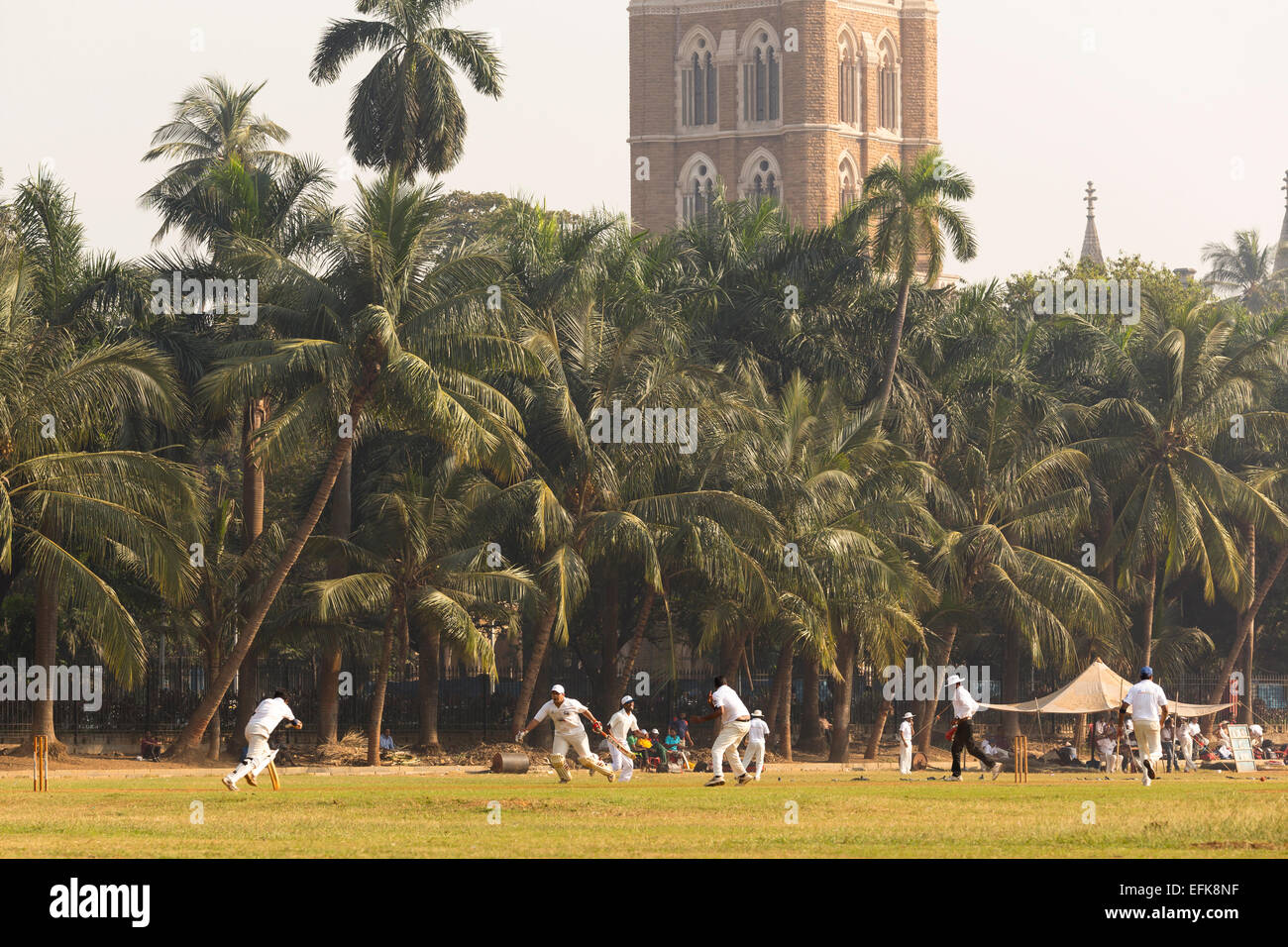 Indien, Maharashtra, Mumbai, Colaba District, Oval Maidan und Rujabi Clocktower Stockfoto