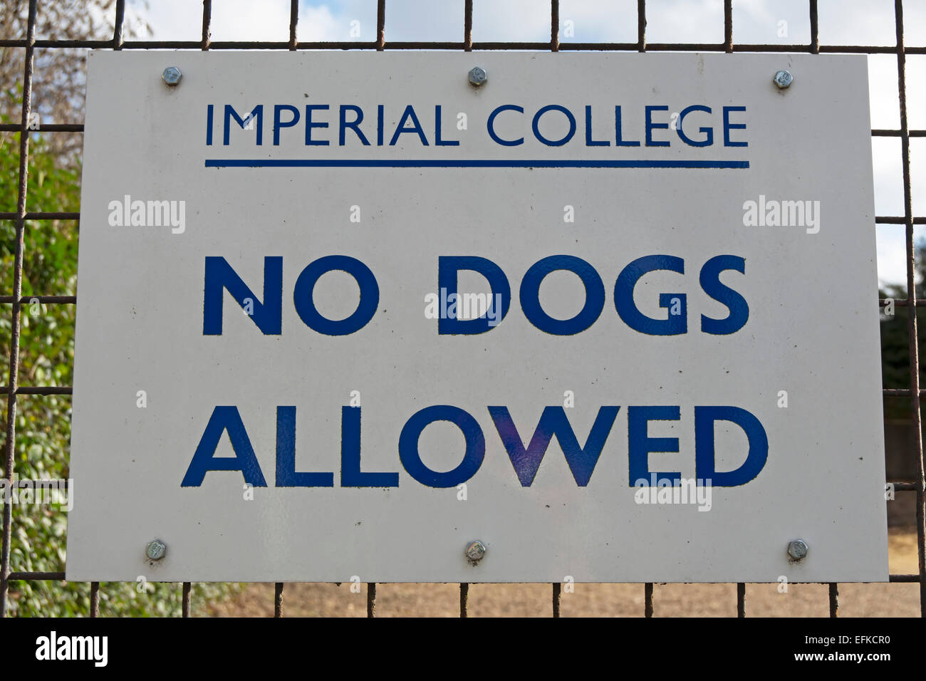 Imperial College Hinweis Warnung keine Hunde erlaubt, an das imperial College-Sportplätze in Teddington, Middlesex, england Stockfoto