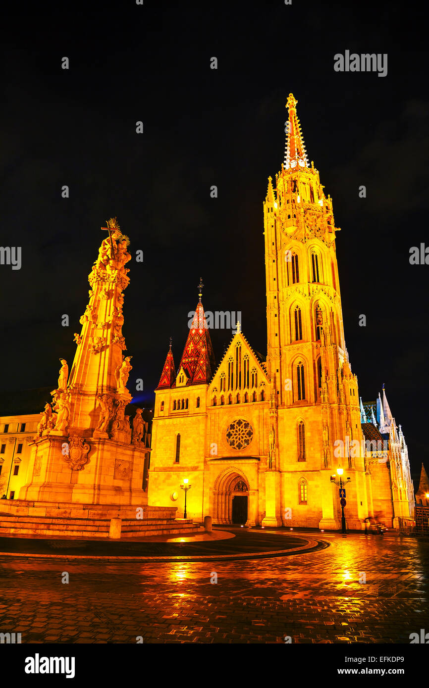 Matthiaskirche in Budapest, Ungarn in der Nacht Stockfoto