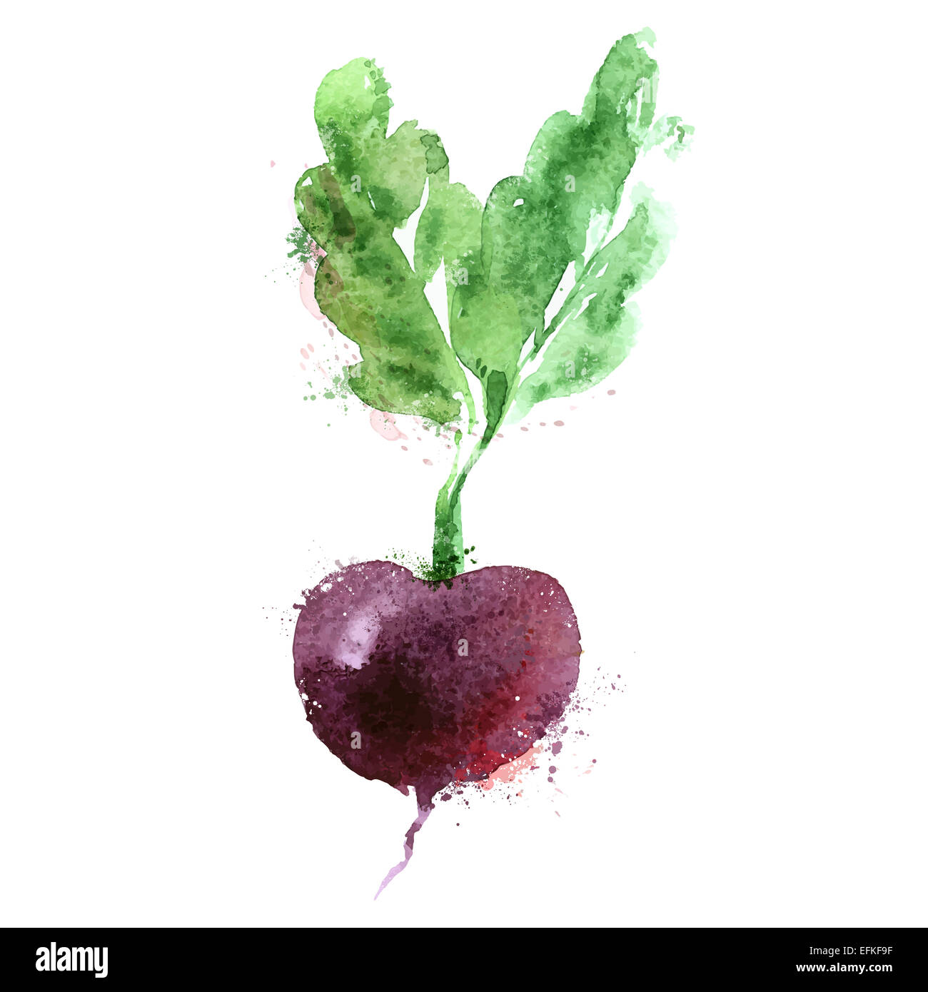 Rüben Vektor-Logo-Design-Vorlage. Gemüse oder Lebensmittel-Symbol. Stockfoto