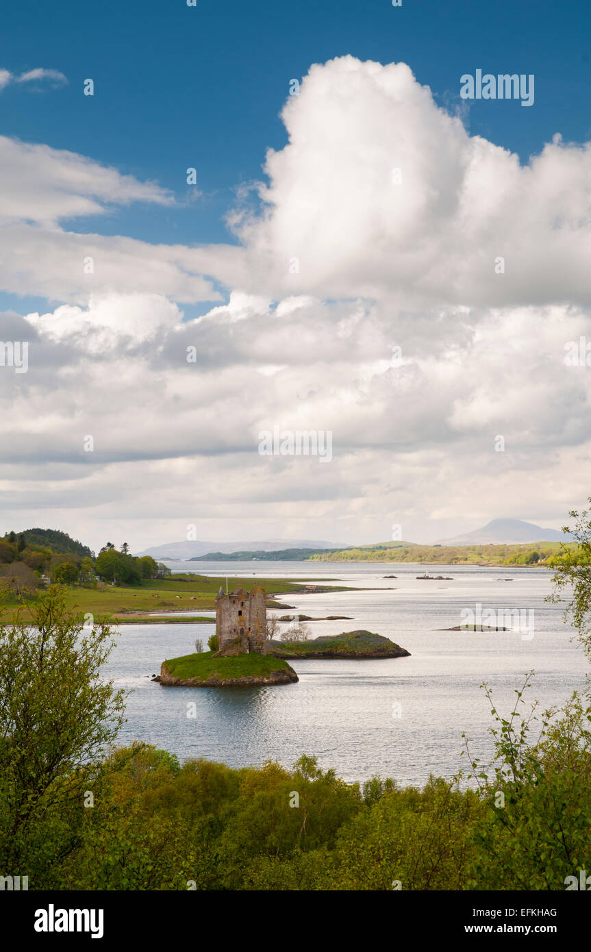 Castle Stalker thront auf einer Insel im Loch Linnhe, Argyll, Schottland. Mai. Stockfoto