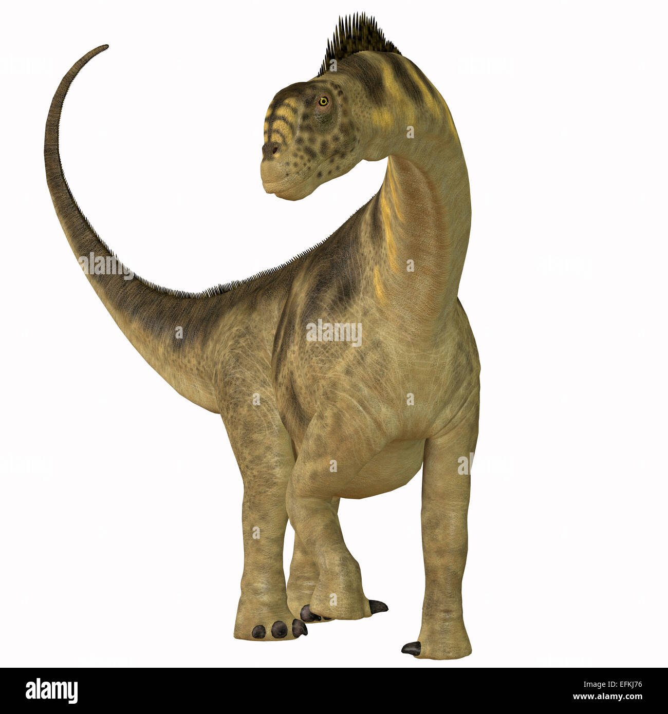 Camarasauridae war ein Sauropoden Herbivore Dinosaurier, der lebte in der Jurassic Era of North America. Stockfoto