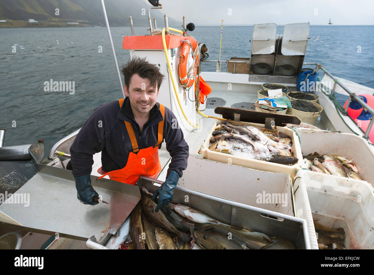 Fischer ausnehmen Fisch auf Boot Stockfoto