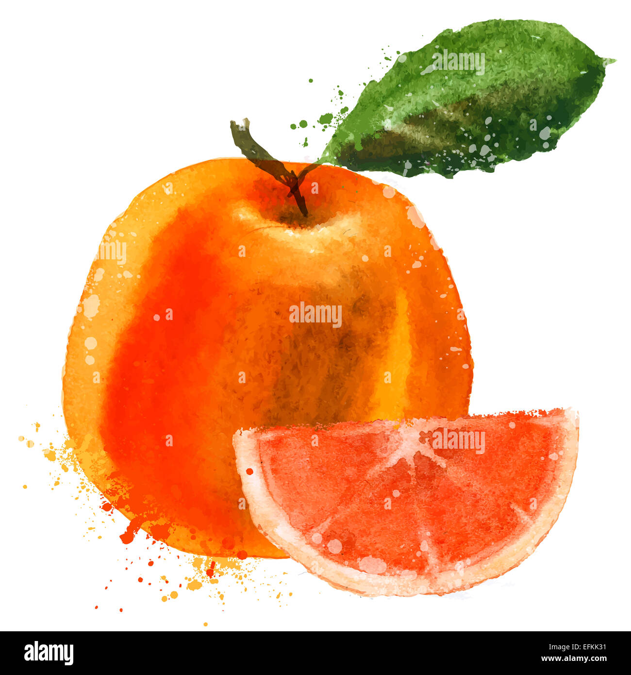 Grapefruit Vektor-Logo Design-Vorlage. Symbol für Obst oder Essen. Stockfoto
