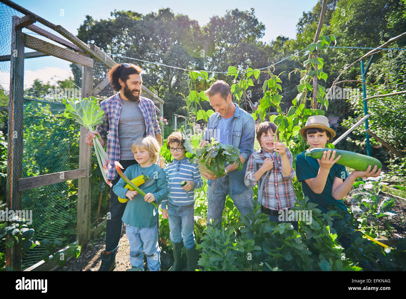 Zwei Männer und Söhne mit Zucchini und Rhabarber auf Zuteilung Stockfoto