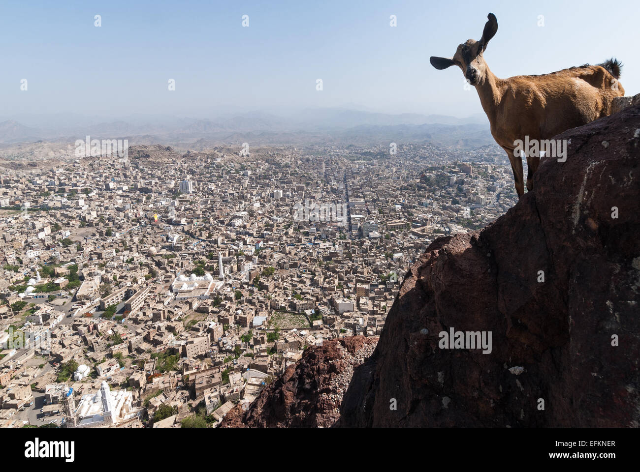 Blick auf die Stadt Taiz im Jemen Stockfoto