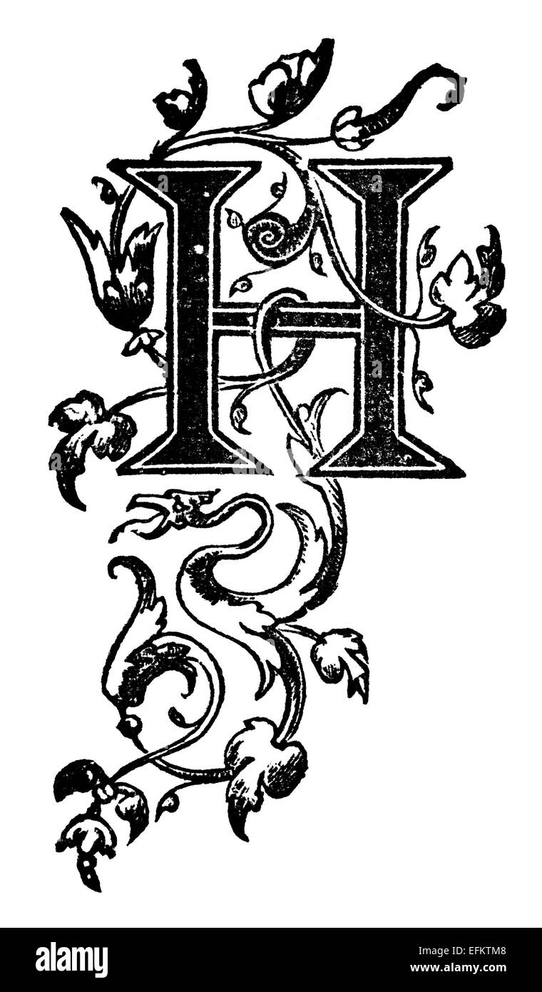 Viktorianische Eleganz Rebe Muster Brief H.  Digital restaurierte aus einem Mitte des 19. Jahrhunderts-Enzyklopädie. Stockfoto