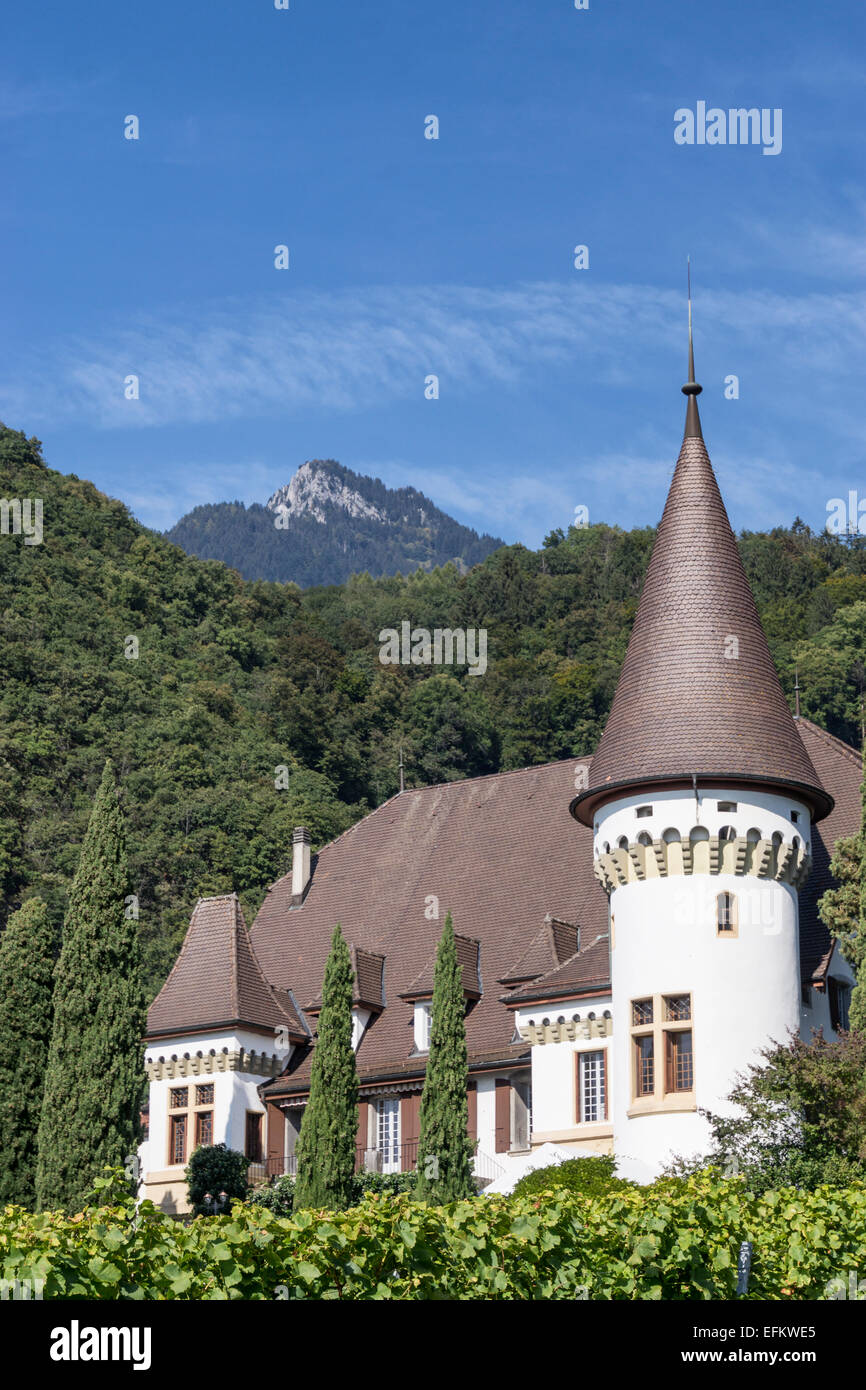 Château Maison Blanche, Weinberge, Yvorne, Region Lavaux, Genfer See, Schweizer Alpen, Schweiz Stockfoto