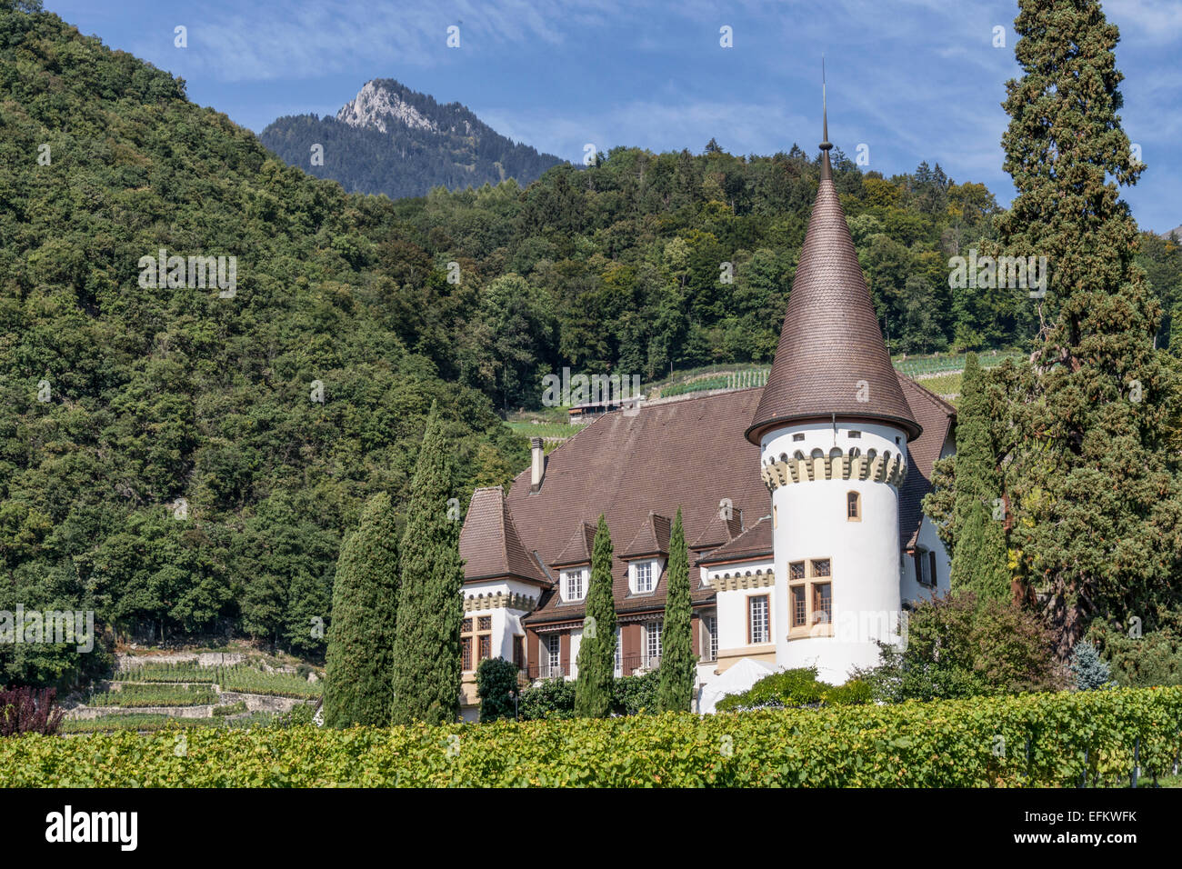 Château Maison Blanche, Weinberge, Yvorne, Region Lavaux, Genfer See, Schweizer Alpen, Schweiz Stockfoto