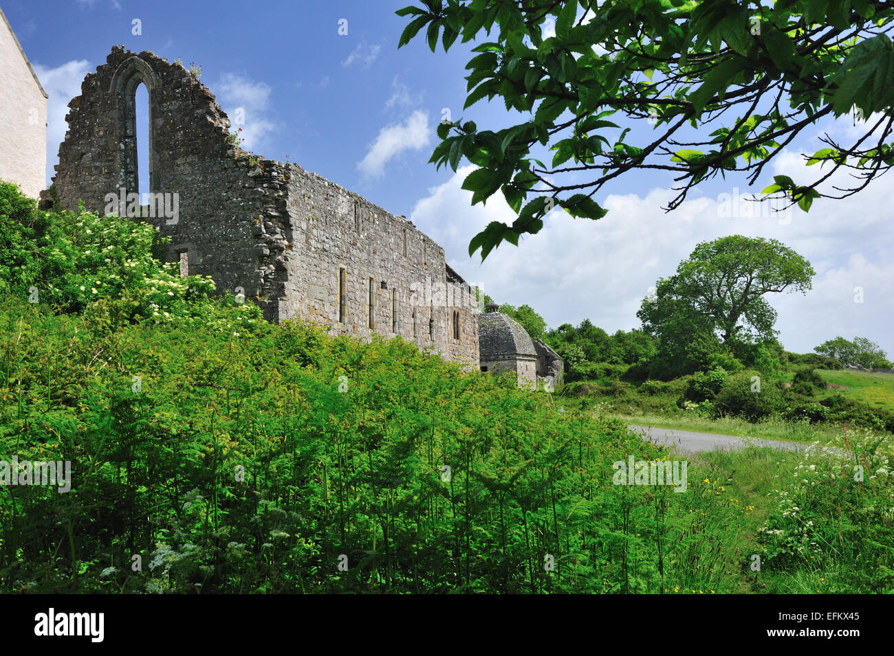 Penmon Priory Komplex / Anglesey / Wales / UK Stockfoto