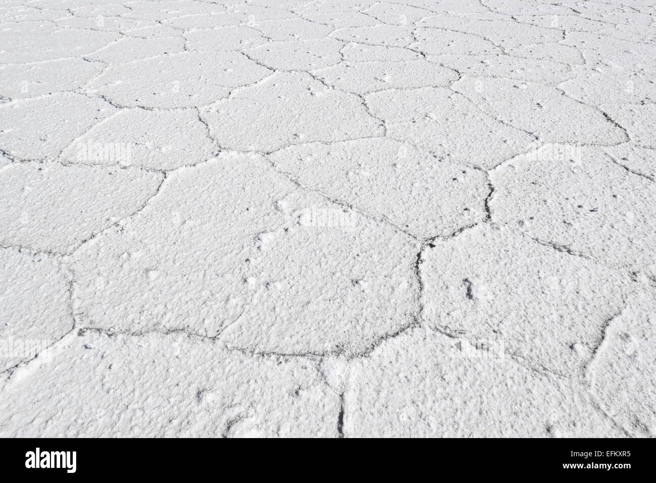 Details zu den Uyuni Salt Flats in Bolivien Stockfoto