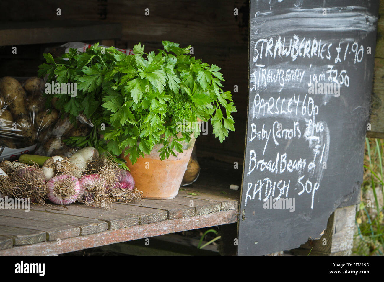 Preis Schiefertafel und Kräuter und Gemüse für den Verkauf auf Tisch, Scilly-inseln, Großbritannien Stockfoto