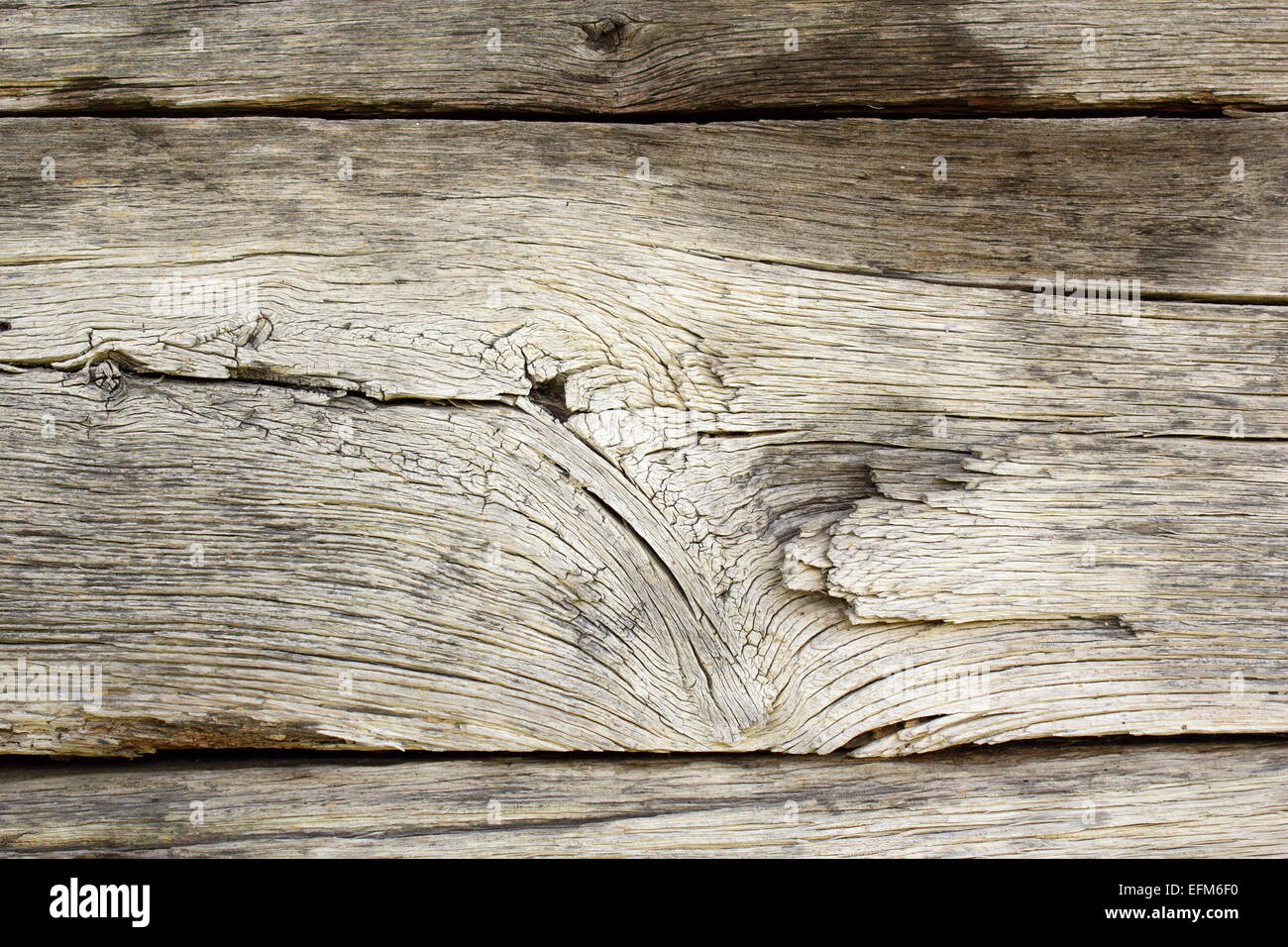 verwitterte echte Eiche Holz Textur, verwittert durch die Zeit von Aussetzung zu den Elementen Stockfoto
