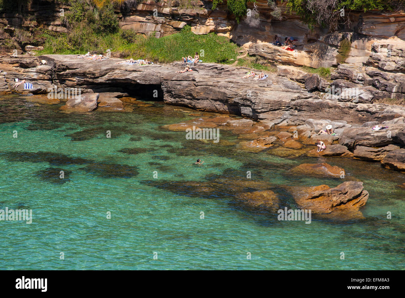 Gordons Bay, Coogee, Sydney, New South Wales, Australien Stockfoto