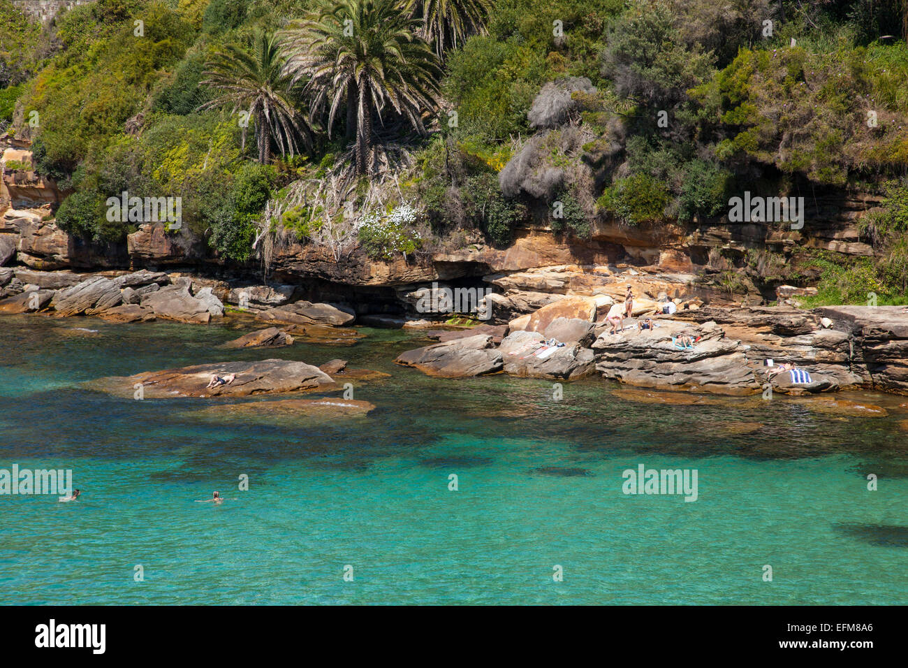 Gordons Bay, Coogee, Sydney, New South Wales, Australien Stockfoto