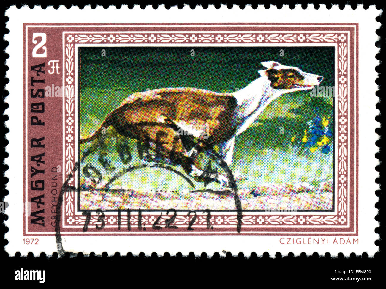 Ungarn - ca. 1972: Briefmarke gedruckt in Ungarn zeigt, Greyhound, ca. 1972. Stockfoto