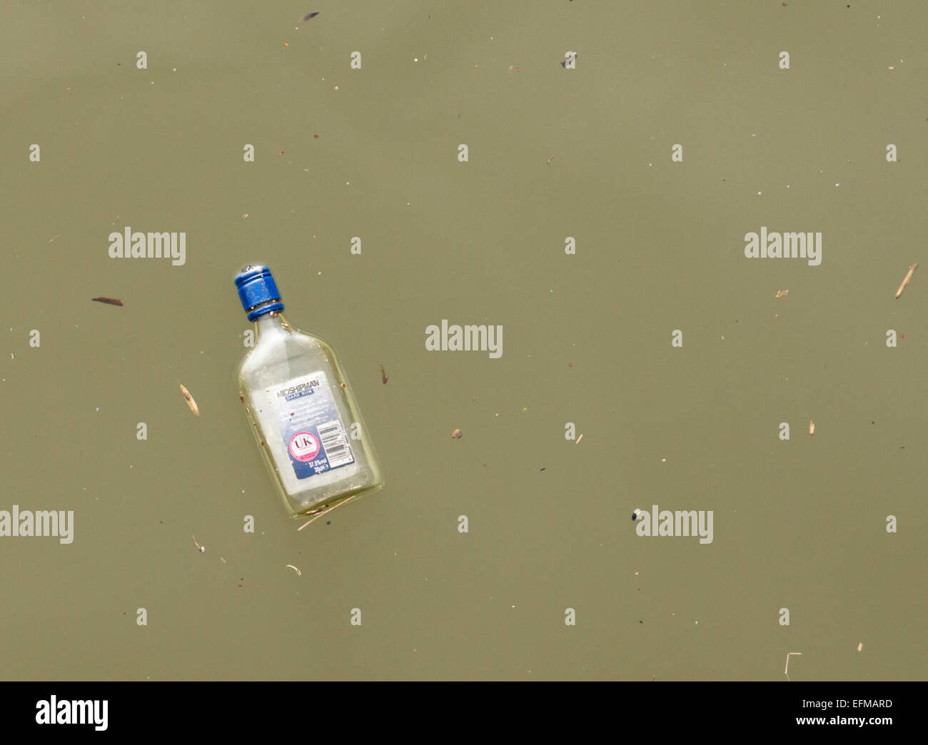Leeren Sie Midshipman rum Flasche schweben im Hafen von Bristol Stockfoto