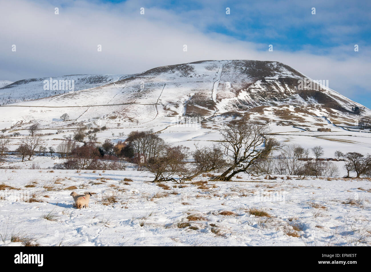 Ländliche Winterszene im Edale Tal im Peak District, Derbyshire. Stockfoto