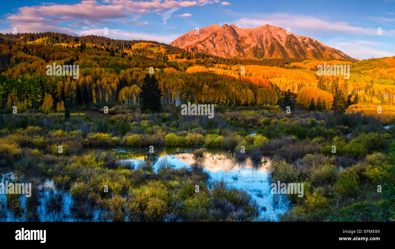 Osten Beckwith Berg erwacht, gebadet in der goldenen Sonne entlang Kebler außerhalb von Crested Butte, Colorado Stockfoto