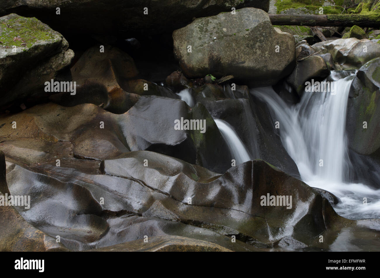 Wasser fließt in Deer Creek, Nevada City Stockfoto