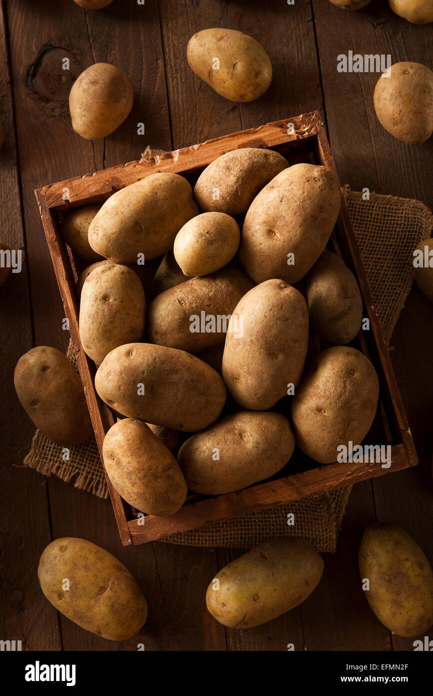 Rohe braune Biokartoffeln in einem Korb Stockfoto