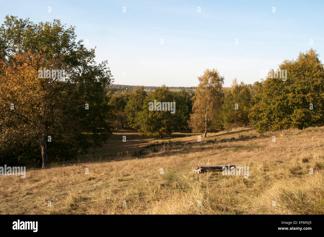 Hauptmannsberg ist ein Naturschutzgebiet direkt am See Zansen im südlichsten Teil des Landes Mecklenburg-Vorpommern in Deutschland. Stockfoto