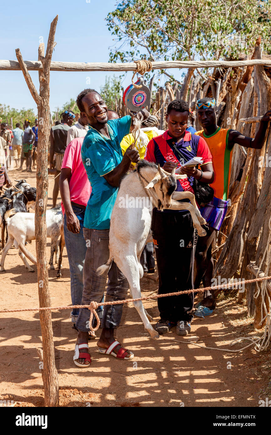 Eine Ziege wird bei der Viehmarkt In Key Afer, das Omo-Tal, Äthiopien gewogen. Stockfoto