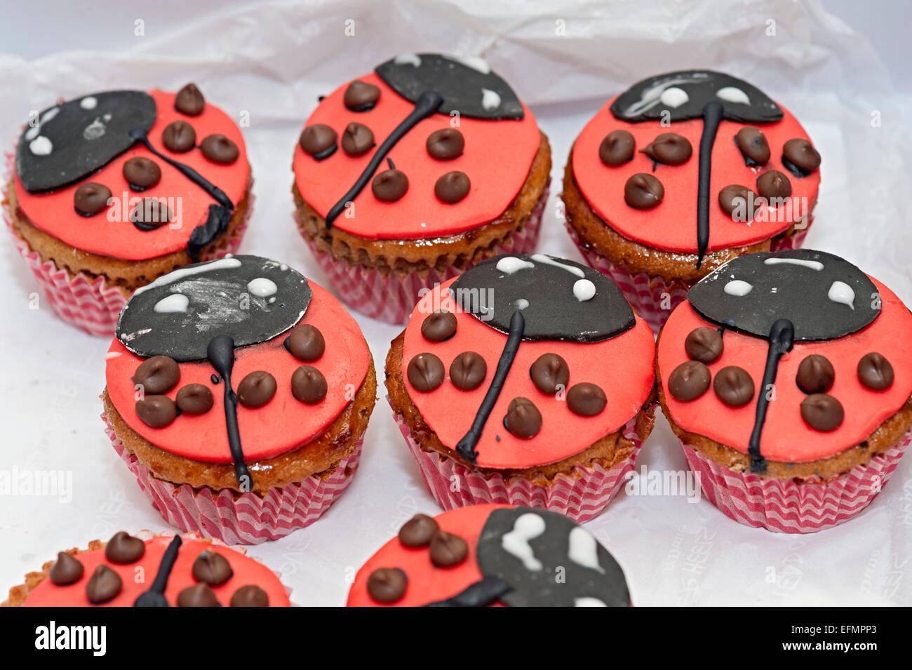 eine hausgemachte Marienkäfer Cupcake in eine Tortenschachtel Stockfoto