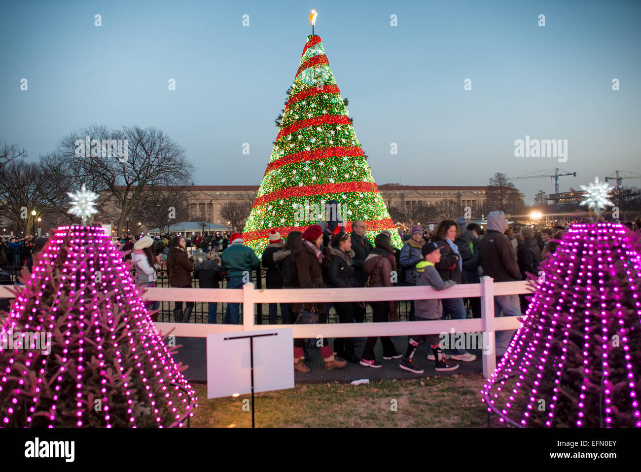 WASHINGTON, D.C., Vereinigte Staaten – der Weihnachtsbaum des Weißen Hauses steht während der Weihnachtszeit vor dem Weißen Haus. Diese jährliche Tradition, die auf das Jahr 1923 zurückgeht, zeigt ein großes immergrünes mit Lichtern und Ornamenten, das den Feiertagsgeist und die nationale Einheit symbolisiert. Die Weihnachtszeremonie ist eine wichtige Veranstaltung, an der der Präsident und die First Family teilnehmen. Stockfoto