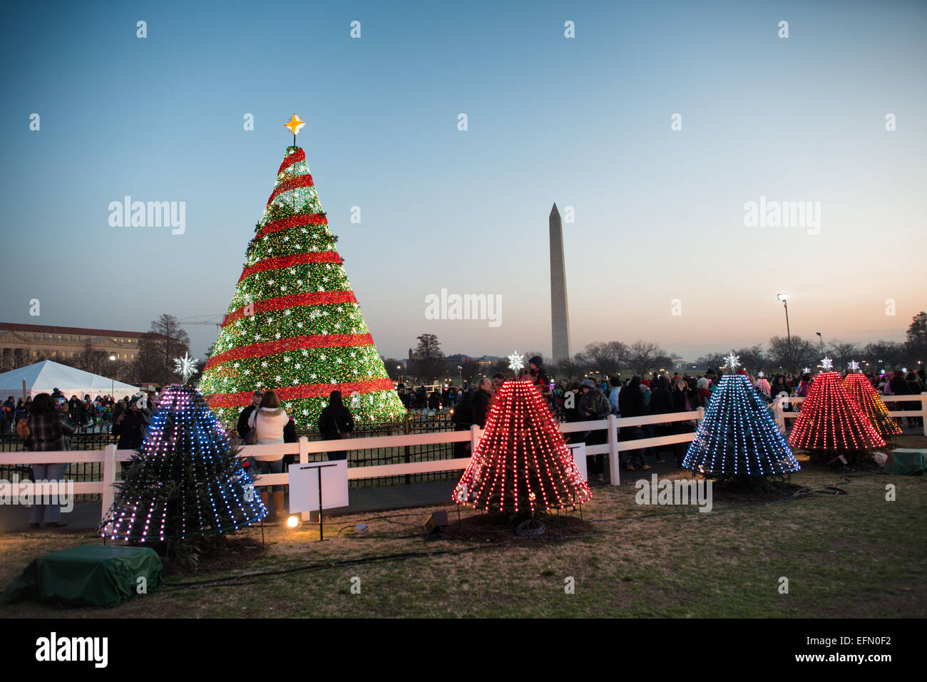 WASHINGTON DC, USA - eine Anzeige der kleinere Bäume, die jeweils als Symbol für einen Staat, um das White House Christmas Tree Cluster auf der Ellipse neben dem Weißen Haus in Washington. Das Washington Monument ist in der Ferne im Hintergrund. Stockfoto