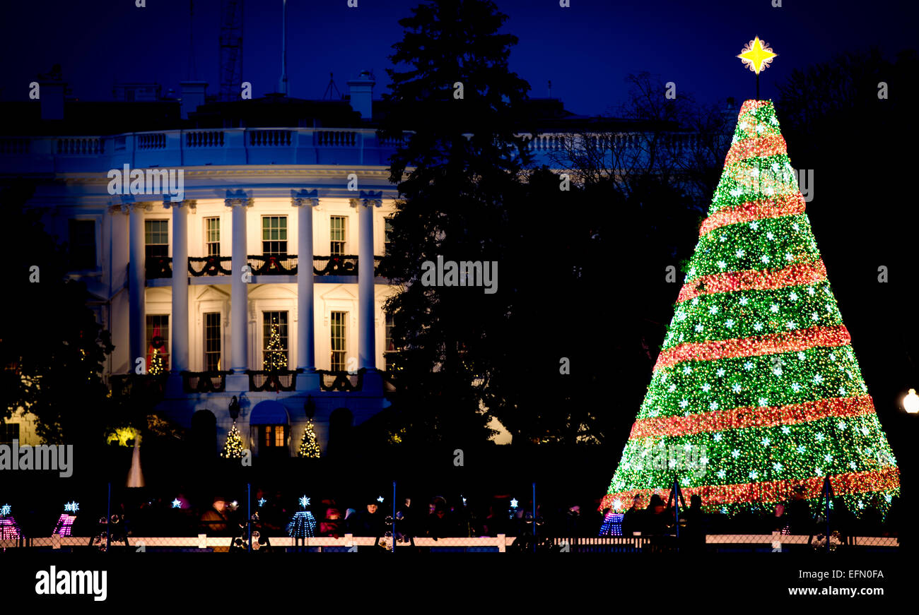 WASHINGTON, D.C., Vereinigte Staaten – der Weihnachtsbaum des Weißen Hauses steht während der Weihnachtszeit vor dem Weißen Haus. Diese jährliche Tradition, die auf das Jahr 1923 zurückgeht, zeigt ein großes immergrünes mit Lichtern und Ornamenten, das den Feiertagsgeist und die nationale Einheit symbolisiert. Die Weihnachtszeremonie ist eine wichtige Veranstaltung, an der der Präsident und die First Family teilnehmen. Stockfoto