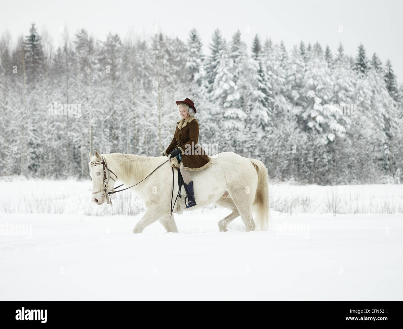 Attraktive Frau Reiten ein weißes Pferd, Winterlandschaft Stockfoto